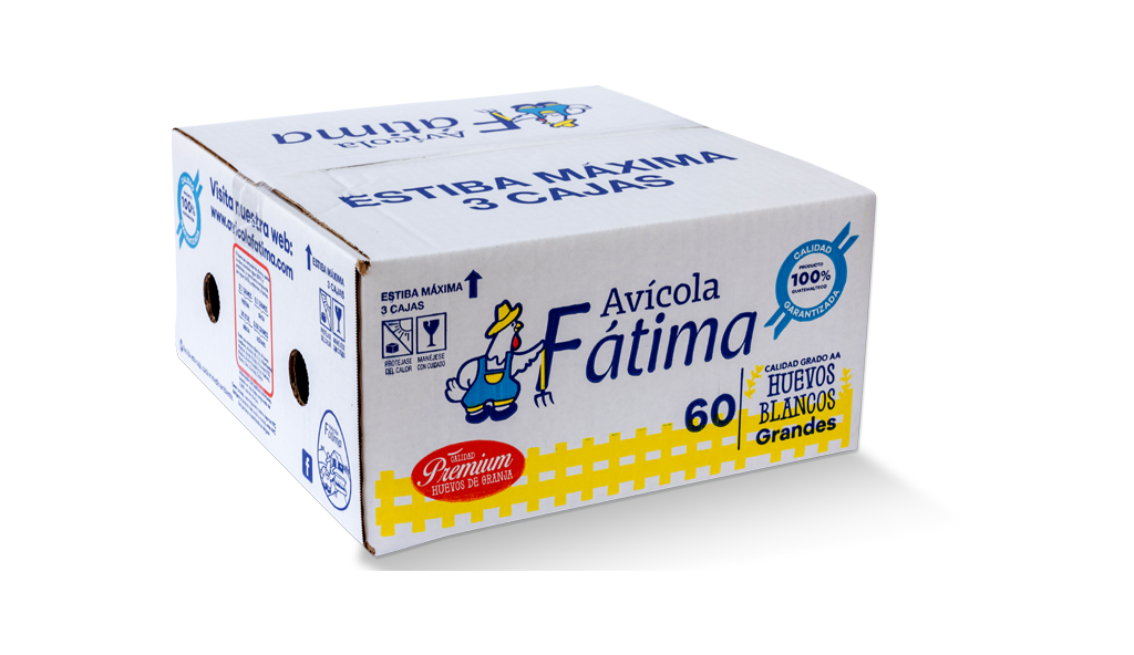 Caja 60 unidades